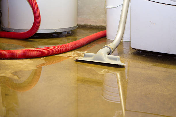 Best Water damage restoration near me  in Piperton, TN