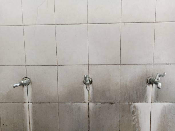 Best Water damage restoration insurance claims  in Piperton, TN